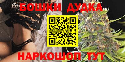 стафф Лесосибирск