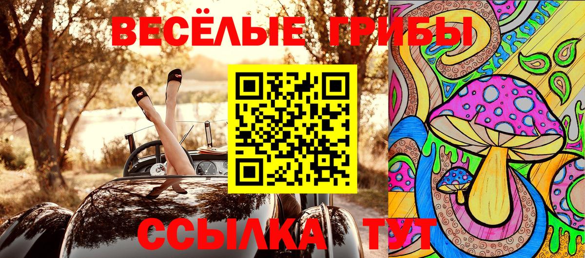 Псилоцибиновые грибы мухоморы Дмитров