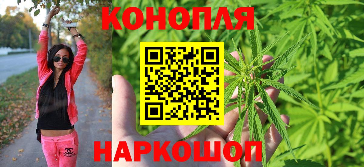 Каннабис план  Вход с VPN  Бошки Шишки ГИДРОПОН  Дмитров 